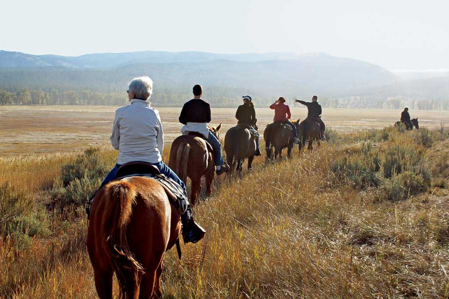 Israel- Horseback Riding Tours